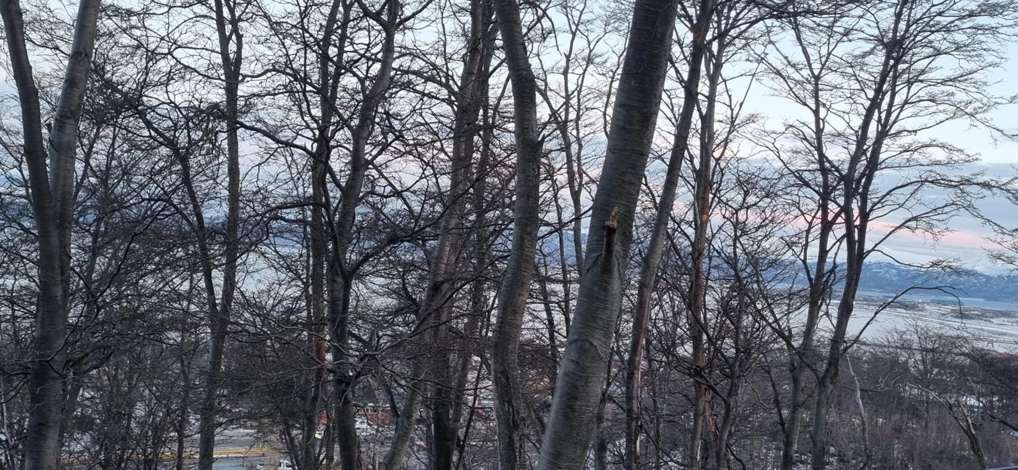 Depto Laguna Encantada Ushuaia Zewnętrze zdjęcie